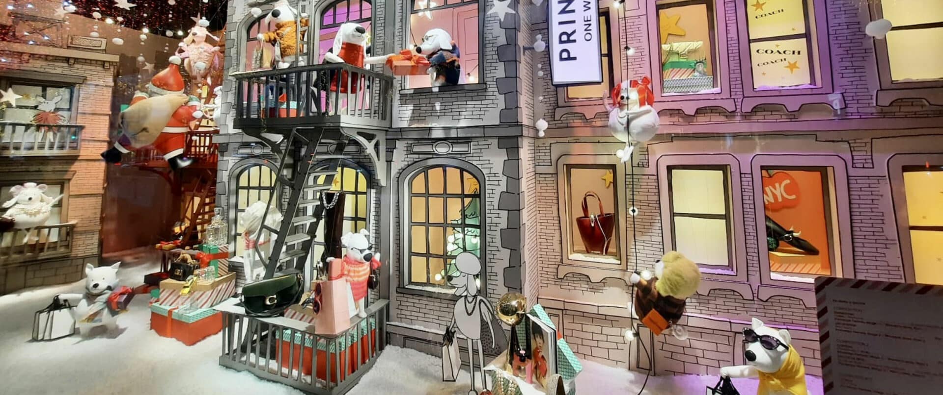 christmas-illuminations-private-family-tour