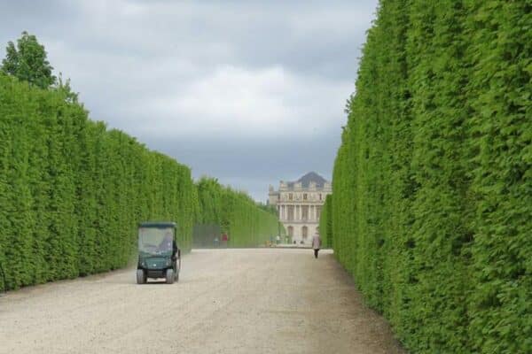 versailles-golf-cart