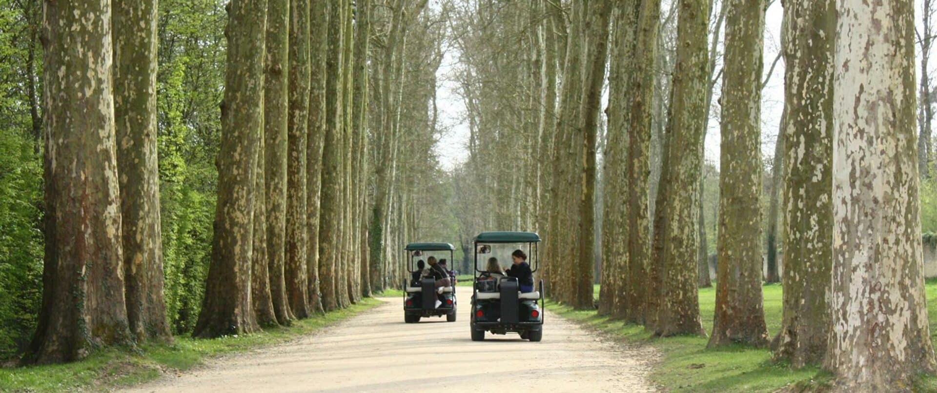 versailles-golf-cart-family-tour