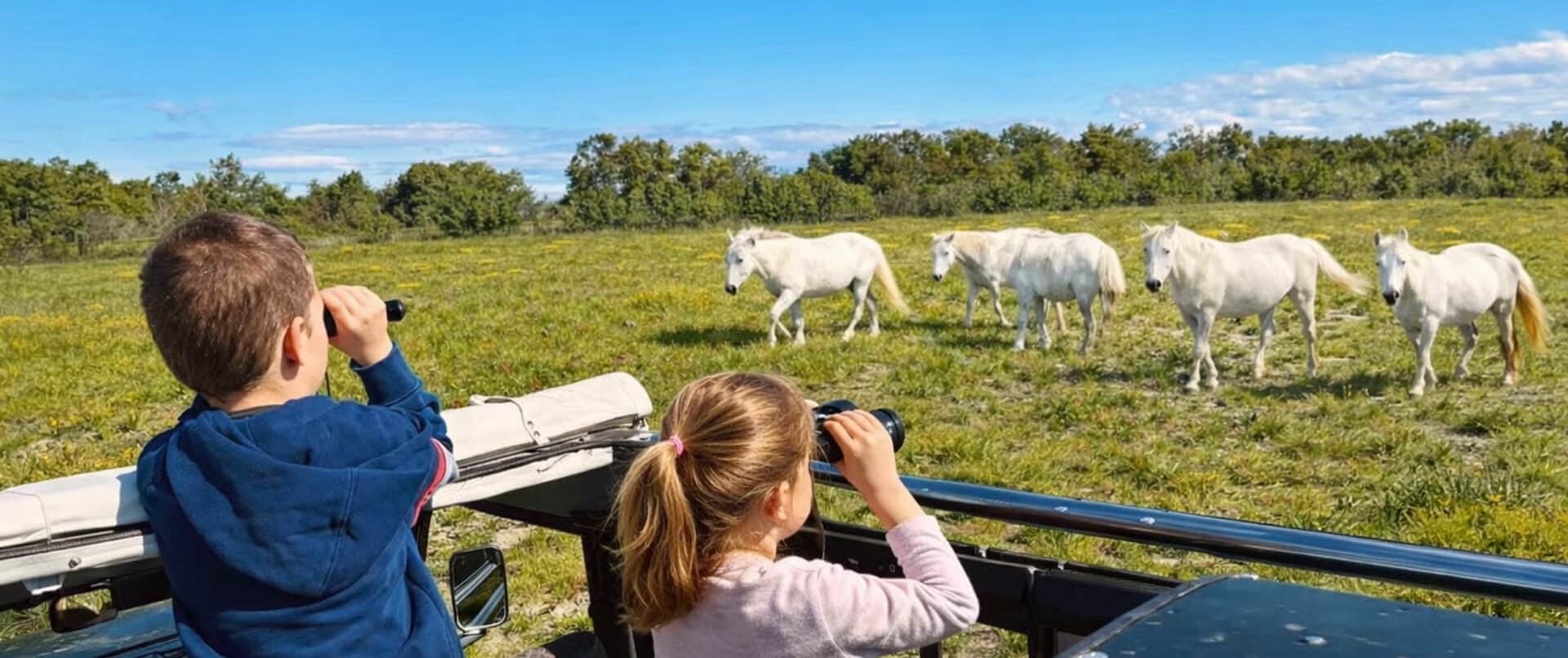 camargue-safari-4x4-family-activity-private-horses