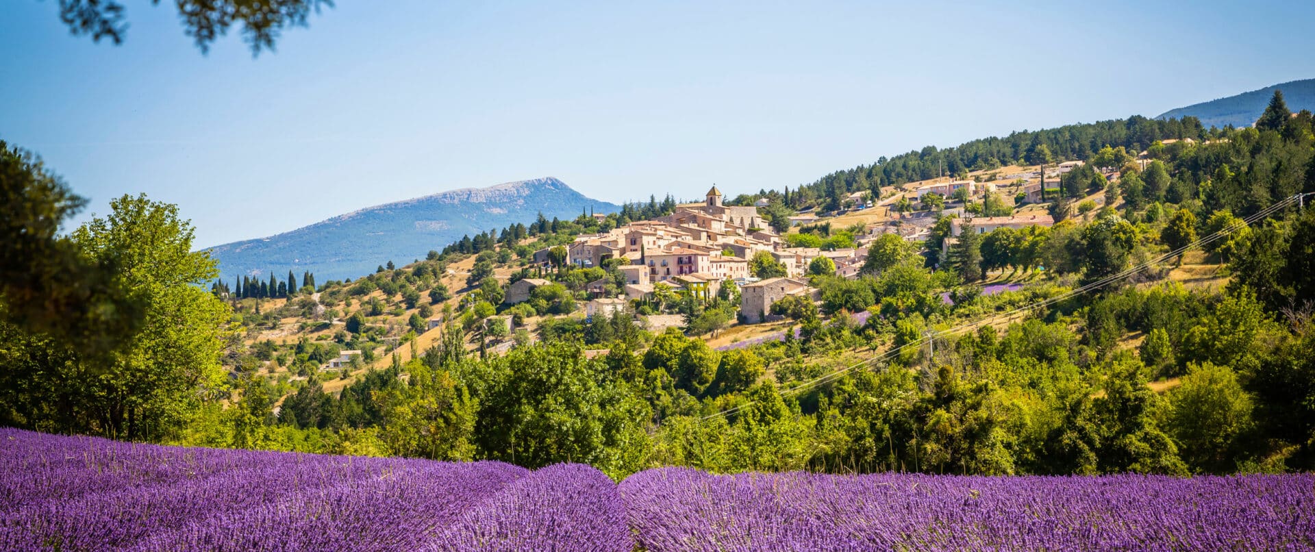 luberon-provence-lavender-sightseeing-full-day-adventure