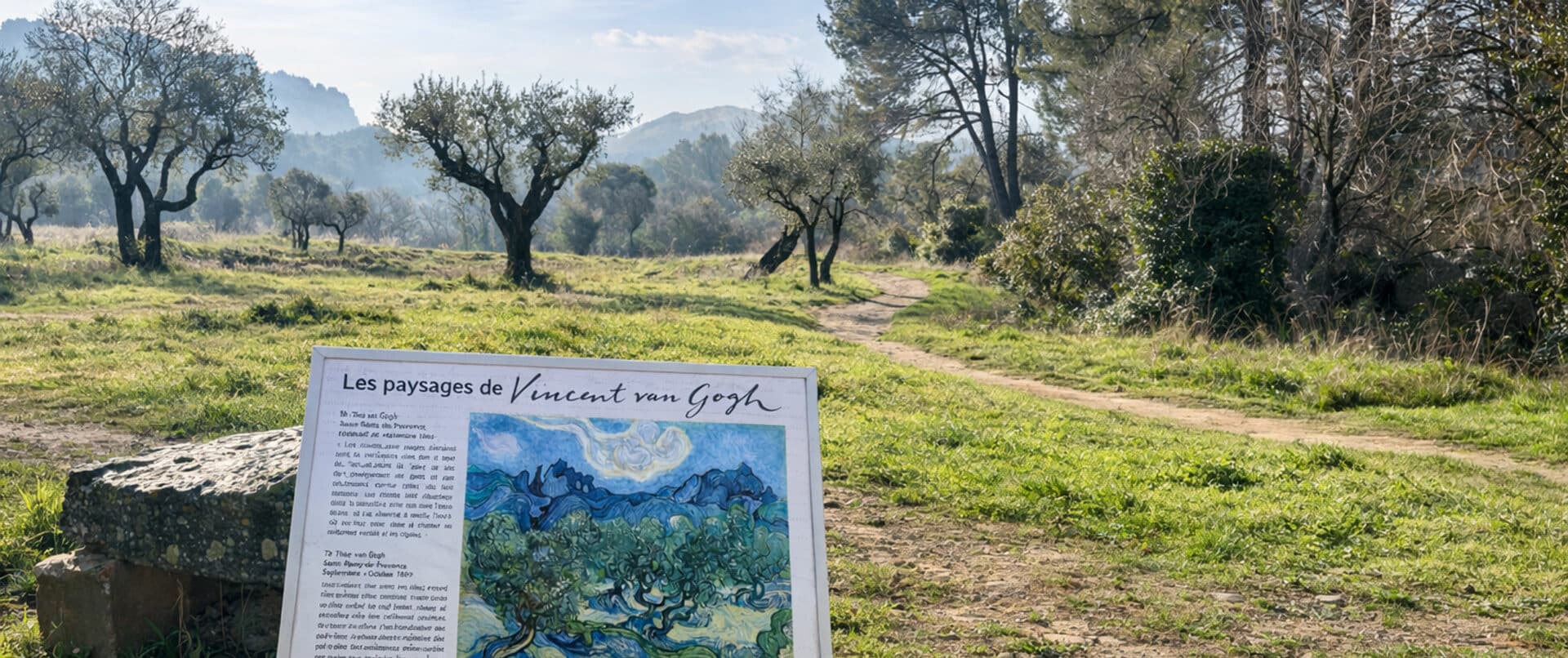 van-gogh-alpilles-provence-family-tour-private